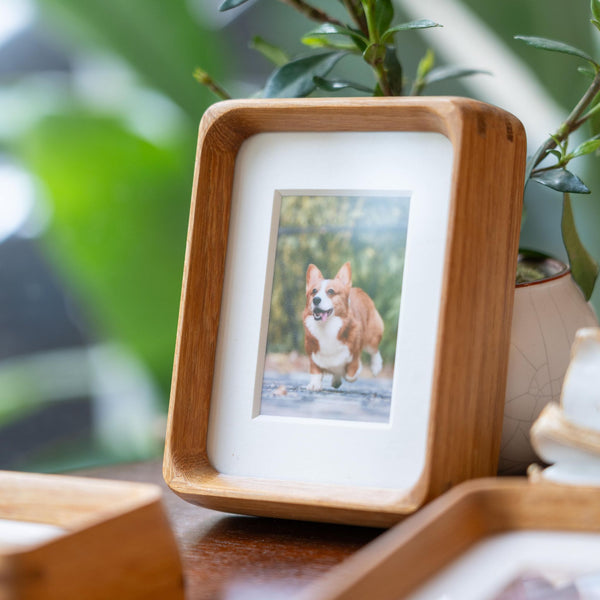Wooden photo frame with a picture of a corgi dog on a table with plants in the background